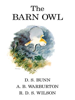 cover image of The Barn Owl